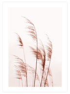 Silvestre N4 - Art Print