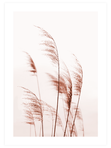 Silvestre N4 - Art Print