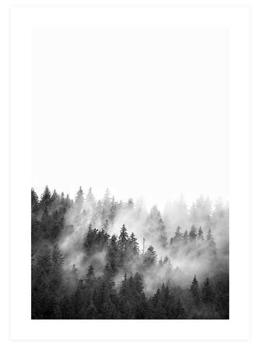 Siyah Beyaz Orman Poster - Giclée Baskı