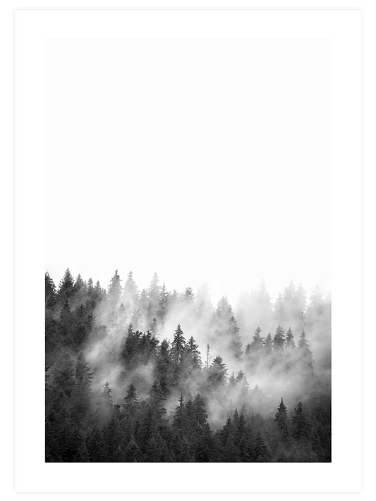 Siyah Beyaz Orman - Fine Art Poster
