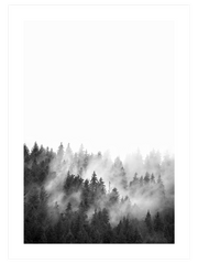 Siyah Beyaz Orman - Fine Art Poster