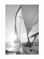 Siyah Beyaz Yelken - Art Print