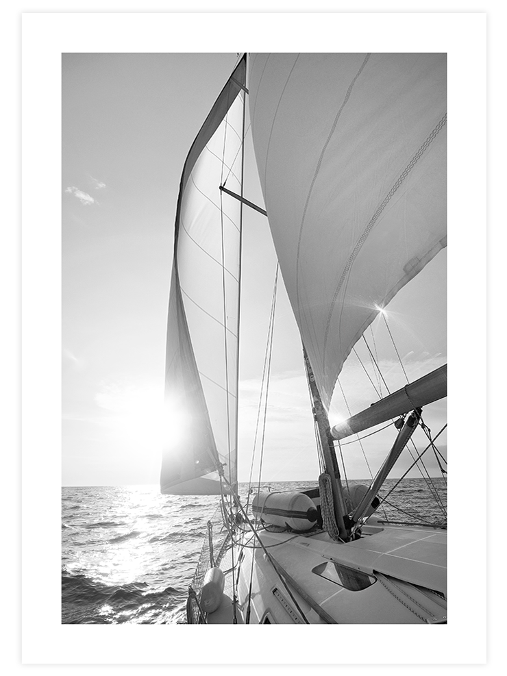 Siyah Beyaz Yelken - Art Print