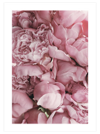 Spring Petals - Art Print