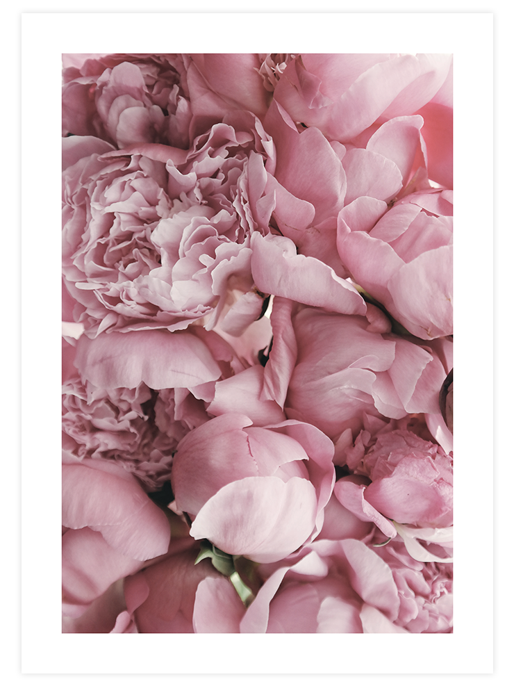 Spring Petals - Art Print Fotoğraflar Poster