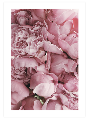 Spring Petals - Art Print