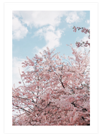 Spring Tree - Art Print