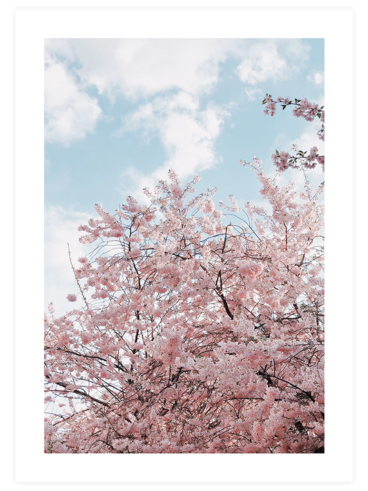 Spring Tree - Art Print