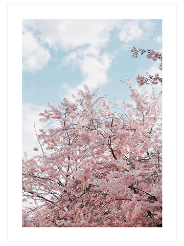 Spring Tree - Art Print