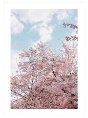 Spring Tree Poster - Giclée Baskı