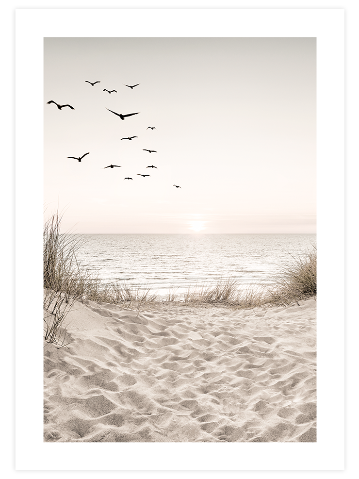 Sunset - Art Print