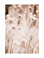 A Sweet Dawn - Art Print