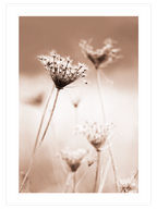 A Sweet Morning - Art Print