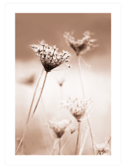 A Sweet Morning - Fine Art Poster