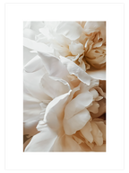 Sweetly N2 - Art Print