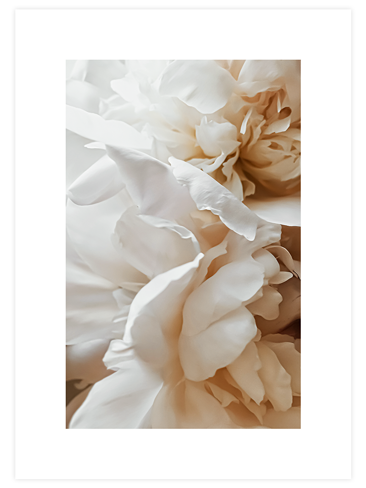 Sweetly N2 - Art Print Fotoğraflar Poster