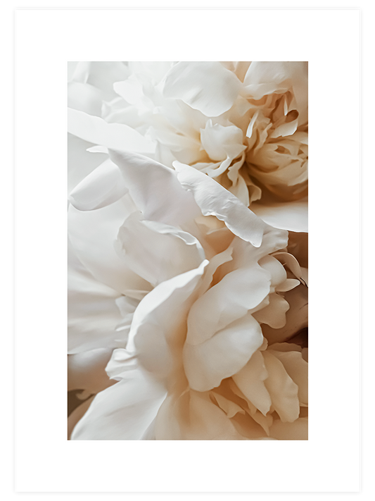 Sweetly N2 - Art Print