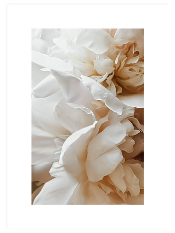 Sweetly N2 - Art Print