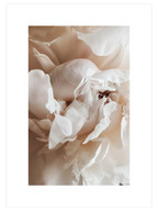 Sweetly N1 - Art Print