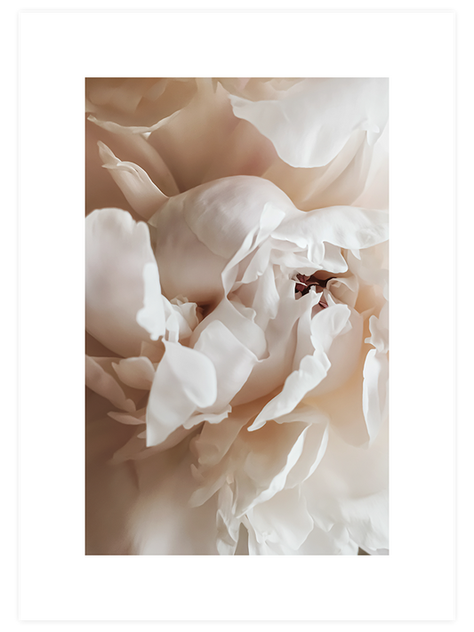 Sweetly N1 - Art Print