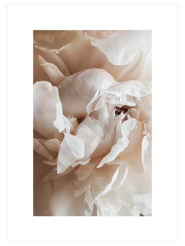 Sweetly N1 - Art Print