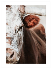 The Cow - Fine Art Poster