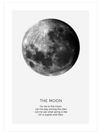 The Moon - Art Print