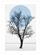 The Tree - Art Print