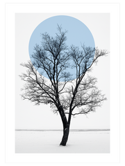 The Tree - Fine Art Poster