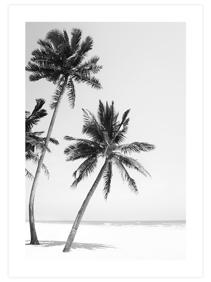 Üç Palmiye - Art Print Ürün ana görseli