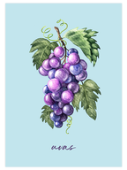 Uvas - Art Print