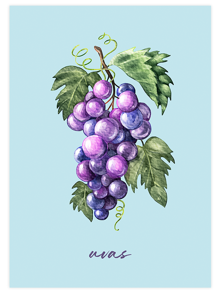 Uvas - Art Print