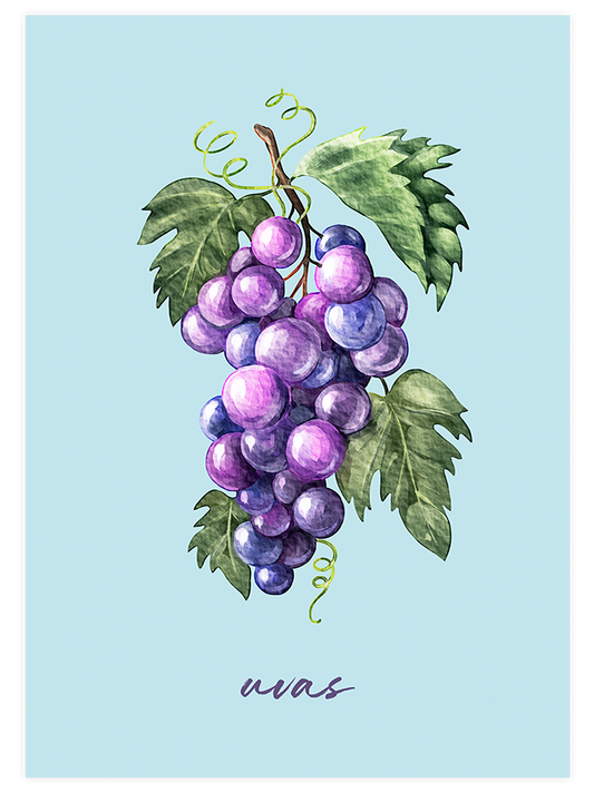 Uvas Poster - Giclée Baskı