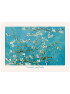 Van Gogh Almond Blossom - Art Print
