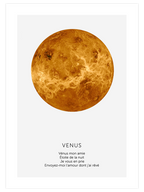 Venus - Art Print
