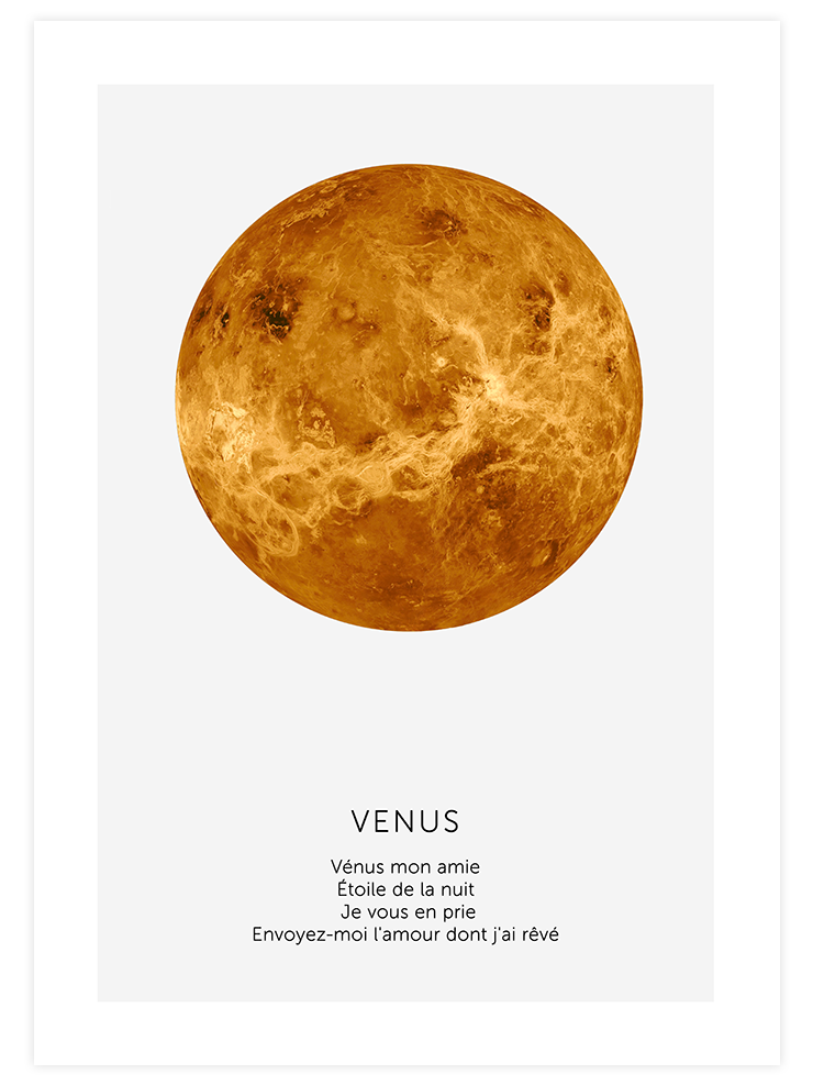 Venus - Art Print  Poster