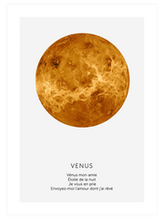 Venus - Art Print