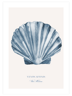 Vita Marina N2 - Art Print