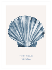 Vita Marina N2 - Fine Art Poster
