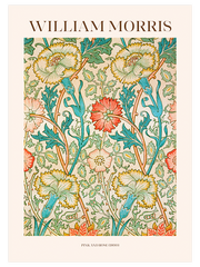 William Morris Pink And Rose - Fine Art Poster