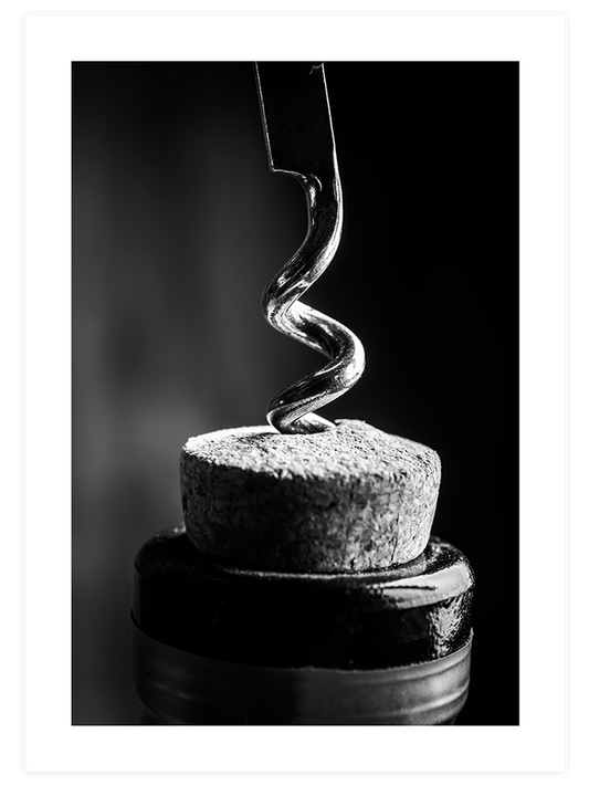 Wine - Art Print