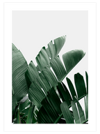 Yeşil Bitki Aşkı N3 - Art Print