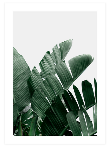 Yeşil Bitki Aşkı N3 - Art Print