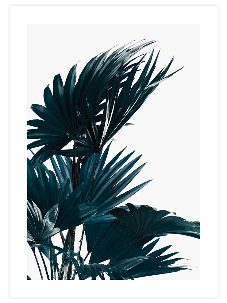 Yeşil Bitki Aşkı N2  - Art Print