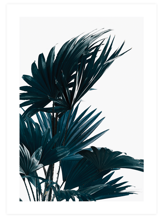 Yeşil Bitki Aşkı N2  - Fine Art Poster