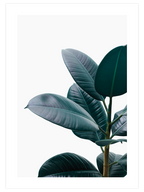 Yeşil Bitki Aşkı N1 - Art Print