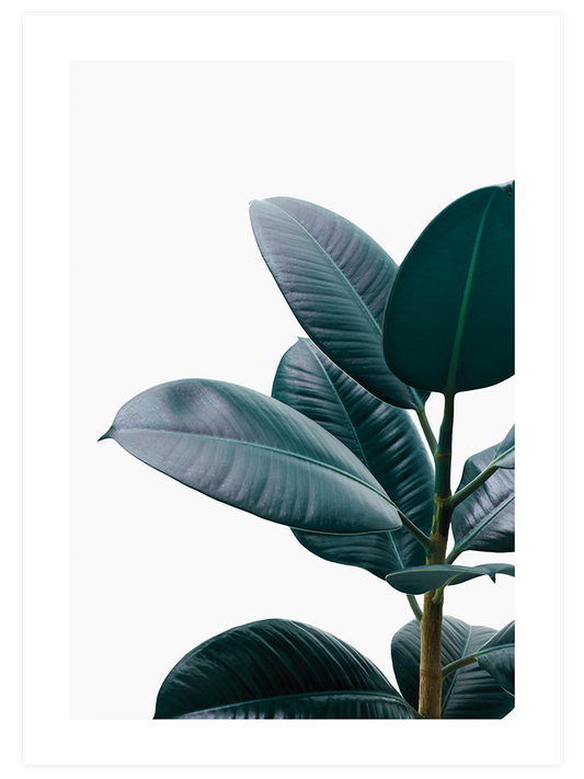 Yeşil Bitki Aşkı N1 - Art Print