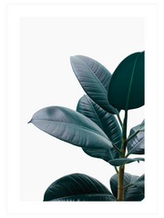 Yeşil Bitki Aşkı N1 - Fine Art Poster