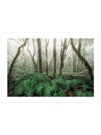 Yeşil Orman - Art Print