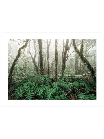 Yeşil Orman - Art Print